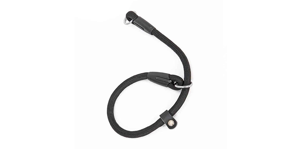 How To Choose the Best Nylon Training Collar for Your Dog